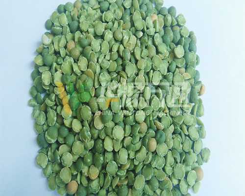 <a href=http://m.ycmmyk.com/product/8/ target=_blank class=infotextkey>豌豆脫皮機</a>